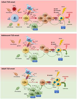 From Disease and Patient Heterogeneity to Precision Medicine in Type 1 Diabetes